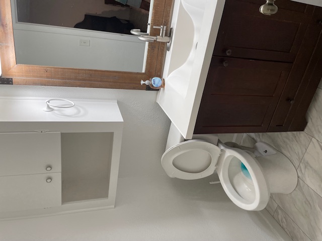 Commercial bathroom sanitization